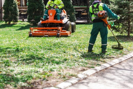 Comment optimiser l'entretien de votre jardin pour un résultat durable ?