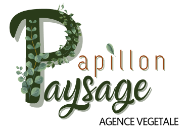 Papillon paysage